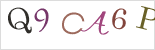 captcha.alt