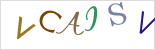 captcha.alt
