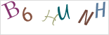 captcha.alt